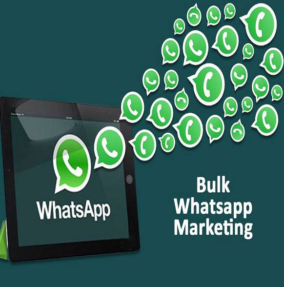WhatsApp-Bulk-Sender-Pic-1